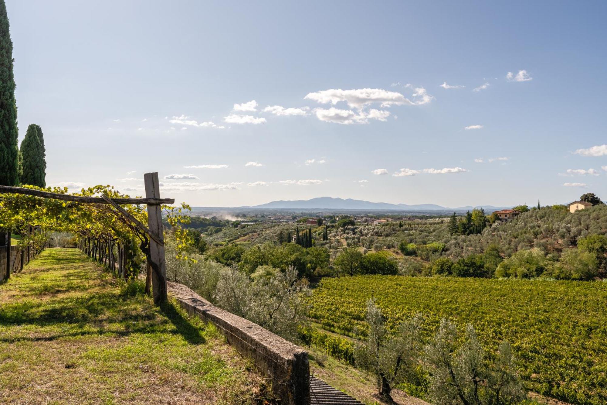 Agriturismo Fadanelli - Le Rondini 람포레키오 외부 사진